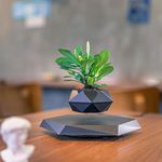 BLUEHAVEN INTERNATIONAL | Crystal Black Levitating & Rotating Pot Jardiniere - Defying Natural Gravity | Perfect Bonsai Planter | Unique Precious Lavish Gift | Home Office Livingroom Decor Item |