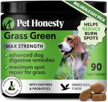 Pet Honesty Grass Green Max Strength Burn Spot Chews for Dogs - Premium Formula - Dog Pee Lawn Spot Saver Treatment Caused by Dog Urine, Supports Healthy Digestion w/Probiotics + DL-Methionine (90ct)