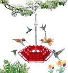 Type Of Hummingbird Feeder