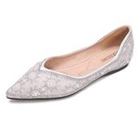 ZQKSEOHS Silvery Flats Shoes for Women Pointed Toe Rhinestone Fashion Wedding Shoes Comfort Flat Shoes Work Casual Slip-On Dress Shoes Size 11