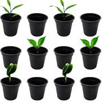 KUMUDAM Plastic 2 inch Seed Starting Pot (Pack of 50) | Seed Germinating Pot | Small Nursery Pots