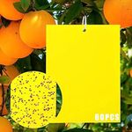 60 PCS Dual-Sided Yellow Sticky Tra