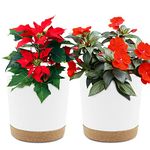 6.5 inch Plant Pot, 2 Pack Planters for Indoor Plants with Drainage Holes & Saucer, Outdoor Garden Flower Pots Modern Decor