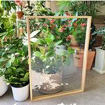 Poster photo frames, Certificate/Picture Wood Textured Picture Frame Double Sided Photo Frame With Acrylic Transparent Lens For Plant Specimen Decoration Home Decor ( Color : Wood Color , Size : A3 (3