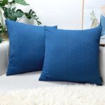 Booque Valley Blue Pillow Covers, Pack of 2 Super Soft Elegant Modern Patterned Fashion Cushion Covers Farmhouse Throw Pillow Cases for Sofa Bed Car Chair, 18 x 18 inch(Lake Blue)