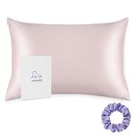 ALASKA BEAR Silk Pillowcase Envelope Closure, 22 Momme 100 Percent Overlap Mulberry Silk Pillow Case Foldover Design, Machine Washable and NO Zipper, Standard Size 50x75cm(1, Pink)