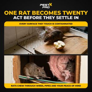 Pest X Pro Rat Bait Box – Venom Rodent Control Station