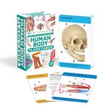 Our World in Pictures Human Body Flash Cards