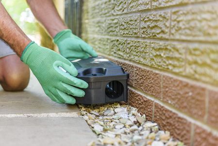 Deadfast Rat Killer Plus Bait Station – Rodent Control Solution