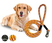 Boltz Heavy Duty Nylon Orange Dog Leash, Reflective Dog Training Rope for Small, Medium and Large Dogs, Strong and Durable Padded Handle & Highly Reflective Effect (5 Feet, Orange)