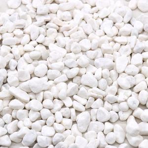 Premium Pebbles Rocks for Plants. White Decorative Pebbles. 0.5 to 1 Inch 18 lbs. for Garden, Landscaping, Indoor, Vase fillers, Crafting, Succulents, pots, Plants