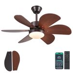 MADSHNE Ceiling Fan with Lights and Remote,36" Small Ceiling Fan with 6 Reversible Blades, Modern Ceiling Fan with 3 Colors 6 Speeds Indoor and Outdoor