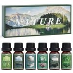 SALUBRITO Nature Essential Oils Set, Premium Fragrance Oils for Diffuser, Scented Oils for Soap & Candle Making - Forest Pine, Ocean Breeze, Rain, Fresh Cut Grass, Mountain Air, Bamboo