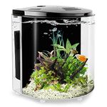 20 Gallon Fish Tank Starter Kits