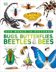 Bugs, Butterflies, Beetles and Bees: A Visual Bug and Insect Encyclopedia for Kids (DK Our World in Pictures)