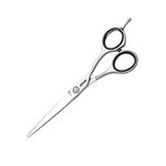 Jaguar Smart 5.5 Inch Alloy Steel Scissor, Silver