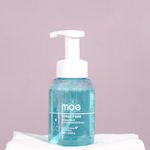 Moe Puppy Waterless Dry Shampoo for Dogs & Cats | Cleansing & Conditioning, Detangling & Moisturizing | Quick Odor Removal | Safe for Puppies & Kittens (300 ml)