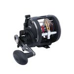 Penn WAR30LW Warfare Level Wind Reel