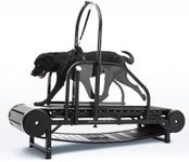 CAMTTIR New Dog Treadmill for 2025,