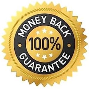 Vegetable Growing Planner Poster – UK Garden Planting Guide