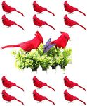 Develoo 12PCS Artificial Christmas Cardinal Birds Simulation Foam Bright Red Feather Small Birds Clip on Christmas Tree Ornaments Fake Stand Bird Craft for Home Wedding Decoration