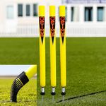 Optimus® Cricket Plastic Target Stump Wicket 3 Pcs-Flexible Steel Spring & Ground Spike - P