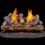 Duluth Forge Ventless Liquid Propan