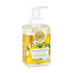 Michel Design Works Foaming Hand Soap, 17.80-Fluid Ounce, Lemon Basil