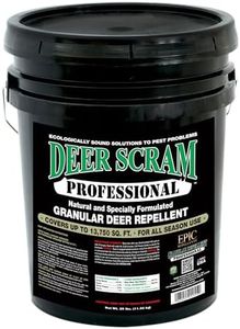 Epic Deer