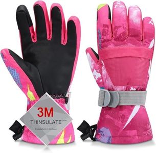 Ski Gloves