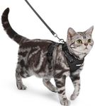rabbitgoo Cat Harness and Lead Set,