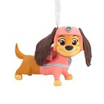 Hallmark Paw Patrol: The Movie Liberty Christmas Ornament (0003HCM1241)