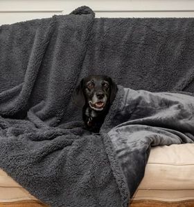 Waterproof Dog Blankets for Large Dogs Washable - Sherpa Dog Blanket for Bed, Pet Covers for Couches and Sofas, Cars 60x80