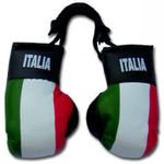 Italy Flag Mini Boxing Gloves