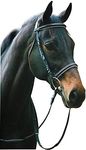 Henri De Rivel Dressage Bridle Hors