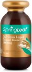 Spring Leaf NZ Green Lipped Mussel Essence 2000mg 200Cap - Relieve Arthritis Pain & Joint Inflammation - Contain Omega-3 & Chondroitin Sulphate - Help Relief Rheumatism and Arthritis Pain