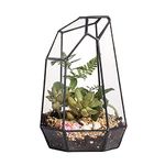 NCYP 12.5x10x19 cm Irregular Prism Glass Geometric Terrarium Planter, Balcony Tabletop Container for Succulent Plant Fern, Home Garden Display Flower Pot, Handmade (No Plants Included)