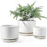 LE TAUCI Ceramic Plant Pots, 4.3+5.