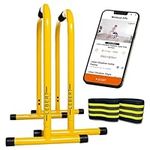 Lebert Fitness Dip Bar Stand - Original Equalizer Total Body Strengthener Pull Up Bar Home Gym Exercise Equipment Dipping Station - Hip Resistance Band, Workout Guide and Online Group - Yellow