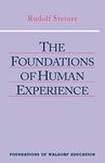 The Foundations of Human Experience