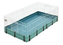 Guinea Pig Cages