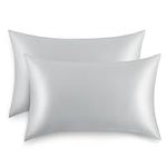 RUIKASI Pillow Cases 2 Pack - Light Grey Standard 50x75 cm Pillowcases Set of 2 with Envelope Closure, Pair of Microfiber Plain Pillow Cover, Soft and Silky for Hair and Skin