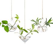 Glass Large Hanging Planters Water Air Plant Succulent Containers Terrarium Kits Candle Holder Indoor Outdoor 2 Holes 3Pcs/Set with Strings Rope for Home Garden, Sphere+Diamond+Water Drops Shape