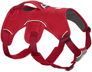 Ruffwear Web Master Dog Harness