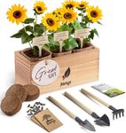 AVERGO Sunflower Seeds Growing Kit – Complete Indoor & Outdoor Kit with Sunflower Seeds for Planting, Planter, Soil, Tools, Instructions – Ideal for Planting Sun Flowers at Home