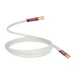 QED Silver Anniversary XT Pre-Term Speaker Cable 5M