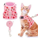 Bingpet Harness For Dogs