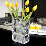 LODCZIOE 20 cm Crystal Glass Vase, Thickened Clear Glass Flower Vase, Large Square Vase, Decorative Vases, Flowers, Modern Farmhouse Centrepiece, Home Room Decor (Transparent)