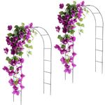 DIVCHI Garden Arch Black Metal – Heavy-Duty Steel Frame Support for Climbing Plants, Roses, Vegetables, Outdoor Decoration, and Archway Decor – (2 X Garden Arches)