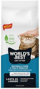 WORLD'S BE